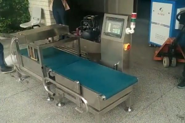 50KG皮帶式稱(chēng)重機(jī)自動(dòng)稱(chēng)重剔除測(cè)試